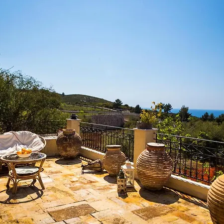 Paradise's Nest Vilă *